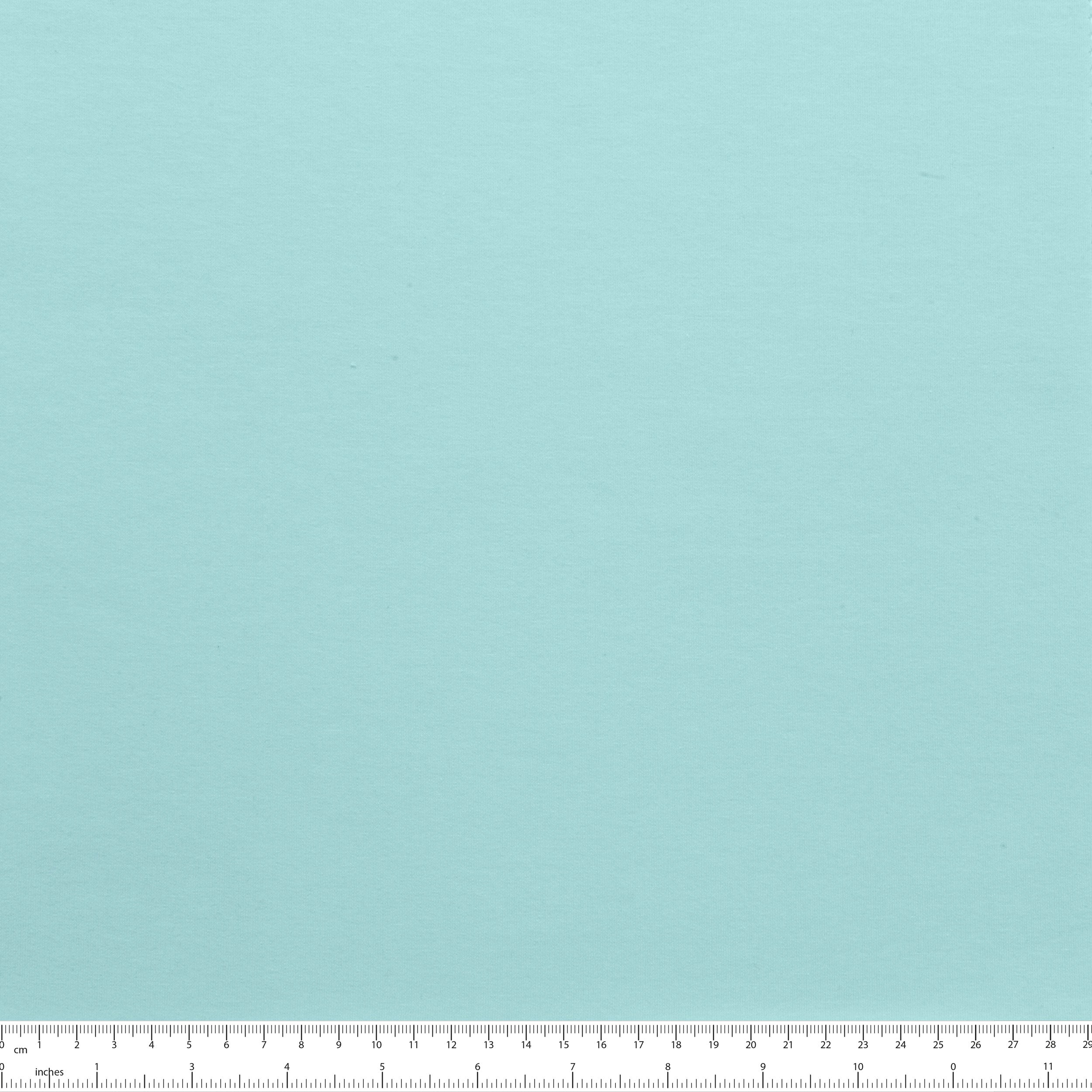 PTFTCOEL-280-170-AZURE fabric image 2
