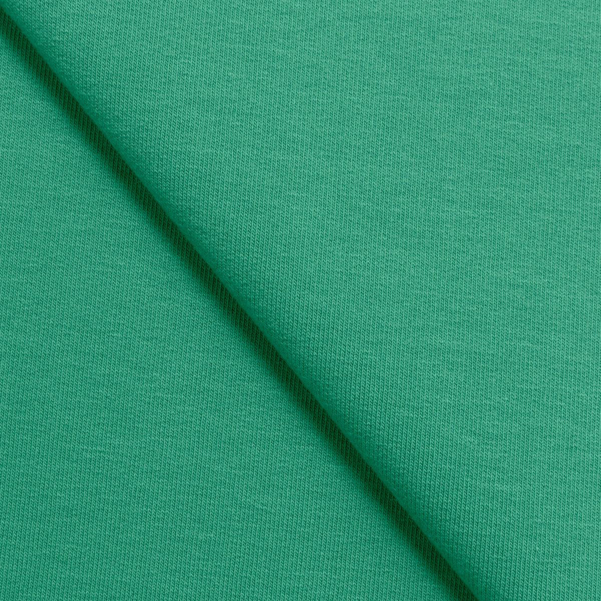 PTFTCOEL-280-170-GREEN fabric image 1